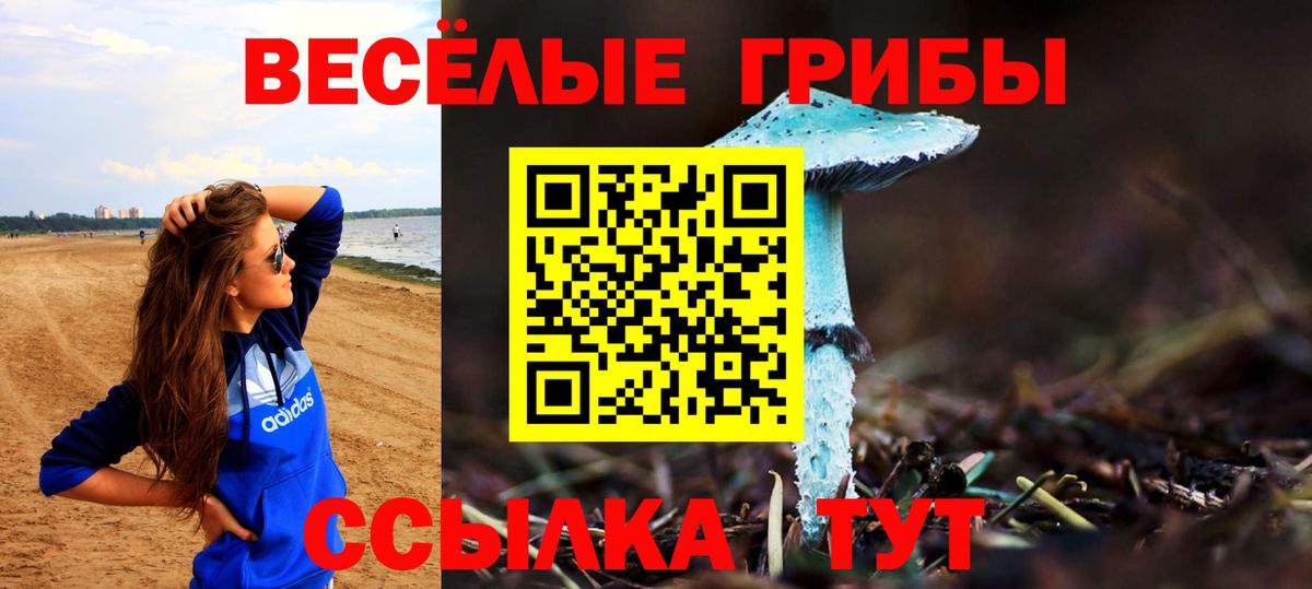 Галлюциногенные грибы прущие грибы  Вход с VPN  Павловский Посад  Галлюциногенные грибы Magic Shrooms 
